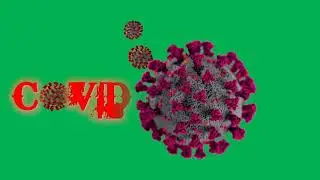 coronavirus green screen video. #coronavirus #corona #virus #covid-19