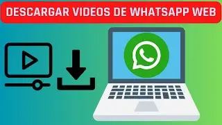 Cómo descargar video de WhatsApp Web (RÁPIDO)