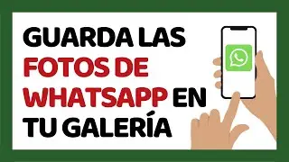 Cómo Guardar las Fotos de WhatsApp en la Galería Automáticamente