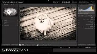 Lightroom 5 - Free Presets de Escuela Lightroom