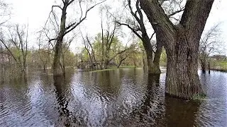 Чи Буде Рекорд? Повінь в Україні. Річка Десна