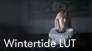 Unique Cinematic LUT | DOWNLOAD WINTERTIDE LUT