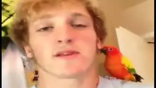 Logan Paul vines compilation (подборка №2)