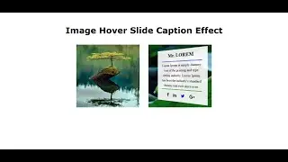 How to Make Image Hover Slide Caption Effect and Also Responsive Using Only HTML & CSS - SFC