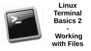 Linux Terminal Basics 2 | Working with Files