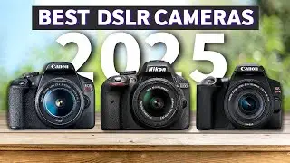 Best DSLR Cameras in 2024 [The #1 will blow your mind]