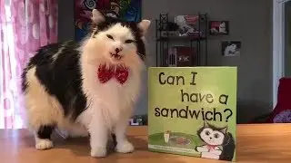 The Oreo Cat: Can I have a sandwich?