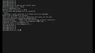 How to install nginx in Ubuntu?