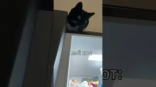 Идешь ночью к холодильнику…