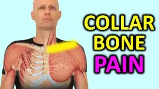 Sore Collar Bone? Fix Collarbone Pain & AC Joint Pain Quickly.