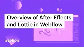 Getting started with After Effects and Webflow — After Effects & Lottie in Webflow