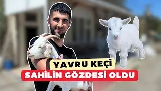 Denizde birlikte yüzüyor, beraber film izliyorlar! Verdiği isim duyanları şaşırtıyor