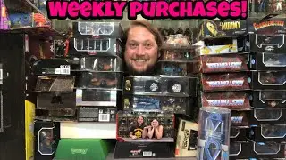 Weekly Purchases for the Week of August 19th 2024! EXTRA SPECIAL GUESTS!