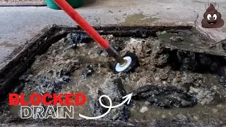 Extremely SATISFYING Thick Lumpy Drain Unblocking !