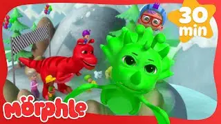 Magic Pet Dino Race: Who Will Win? | Morphle |Science and Nature Cartoons For Kids| Moonbug Kids