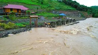 HISTORICAL storms and floods DESTROYED the farm in 4 years Gardening, Cooking, Save the farm SANG VY