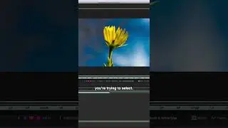 How to Select Objects in After Effects  (ROTO BRUSH)