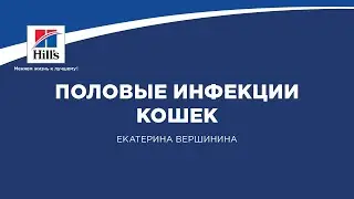 Вебинар на тему: «Половые инфекции кошек». Лектор – Екатерина Вершинина