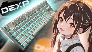 TKL механика DEXP Mace всего 2999р ┃НЕ АКТУАЛЬНО┃