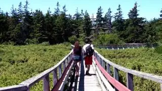 Experience Prince Edward Island