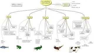 MAPPA: ANIMALI VERTEBRATI