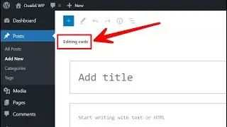 Switch from Visual Editor to Code Editor in WordPress