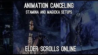 Animation Canceling explained! Elder Scrolls Online ESO