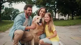 🐶 America's Top Dogs - Which Breeds Are Best?