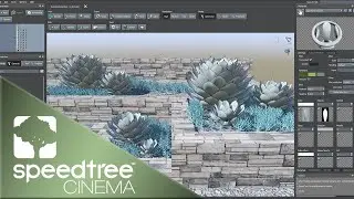 Succulent Garden | Speedtree Cinema 9 Tutorial