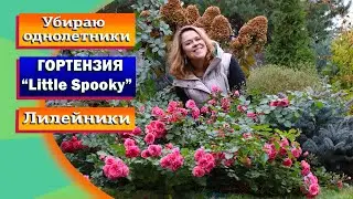 Осенние хлопоты продолжаются!😀🍂