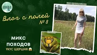 Влог с полей №8: микс походов / Насекомые Беларуси