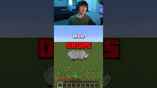 #Minecraft But Mob DROPS Are ACCURATE