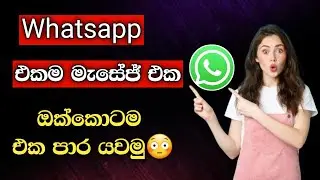 How To Send One Massage To All Contact In Whatsapp | Whatsapp Broadcast Sinhala 2024