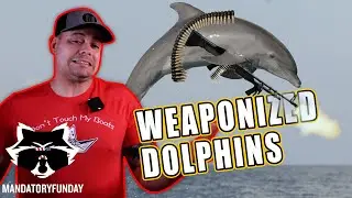 That Time We Weaponized Dolphins