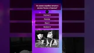 ⚡🧠⚡#викторина #эрудиция #знаниясила #проверьсвоизнания #тест