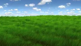 animated grass