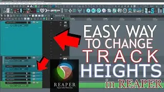 Reaper How To Set Track Height (Minimize, Maximize) Tutorial