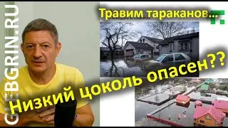 Низкий цоколь опасен? Травим тараканов из голов