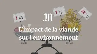 L'impact de la viande sur l'environnement expliqué en 4 minutes