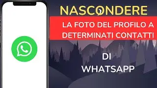 Come nascondere la foto del profilo di WhatsApp a determinati contatti