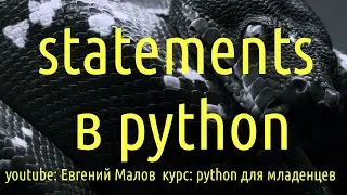 что такое statement в python