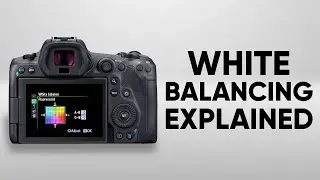 What is White Balance in Photography?