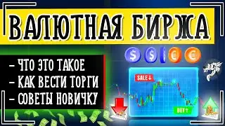 Биржа валют (валютная биржа): это что такое и как вести торги на валютной бирже онлайн (ИНСТРУКЦИЯ)