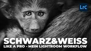 Schwarz & Weiss Bildbearbeitung wie ein Profi - Mein Black & White Lightroom Workflow