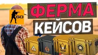 ФАРМ КЕЙСОВ В КС ГО! СКОЛЬКО ЗАРАБАТЫВАЕТ ФЕРМА CS:GO?