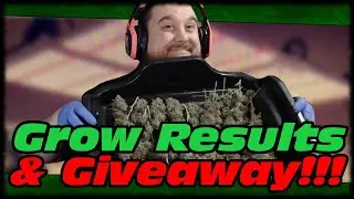 FIRST GROW FINAL RESULTS!!! SPIDER-FARMER SF1000 GROW LIGHT GIVEAWAY!!!