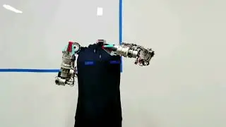 cooperative robot