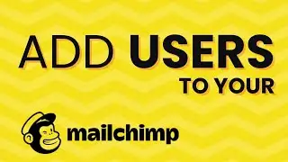 Mailchimp Tutorial: How to Add Users and Share Account Access | Add users to Mailchimp