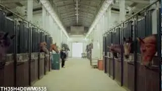 [PSYTP] Oppa WoW Style