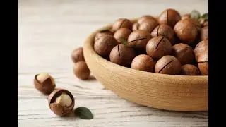 Макадамия как выращивают самый дорогой орех в мире  Macadamia is the most expensive nut in the world